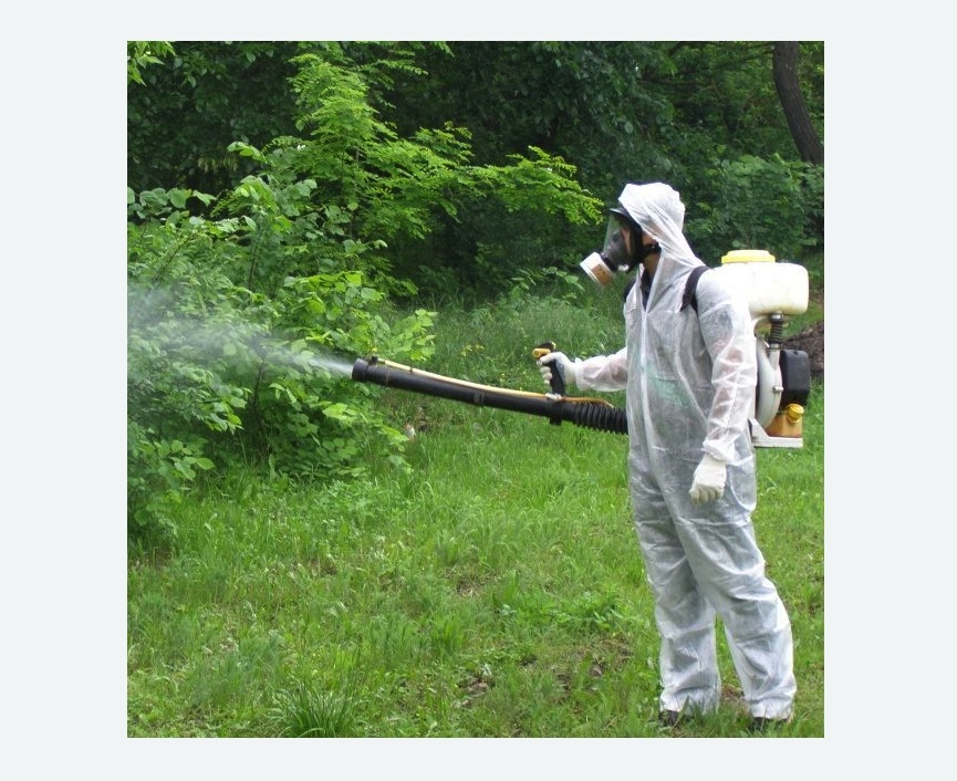 обработка территории от клещей в Ярославле