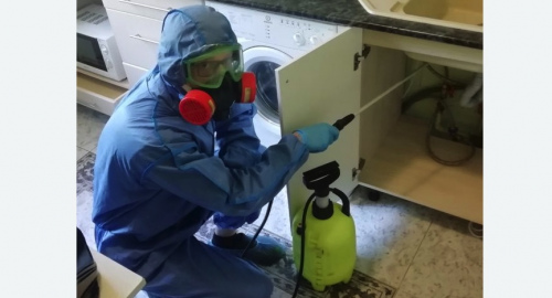 Уничтожение муравьев в квартире. Ярославль