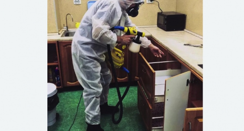 Уничтожение насекомых в квартире. Ярославль