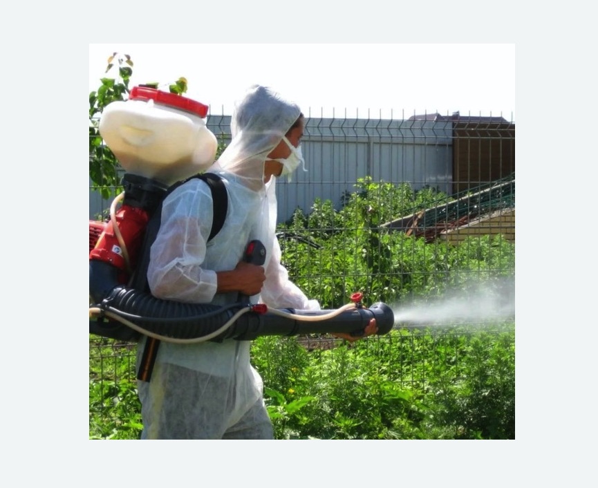 Акарицидная обработка территории в Ярославле