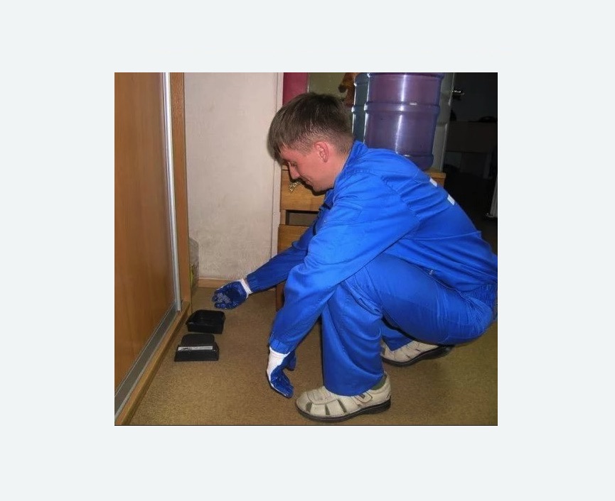 Дератизация крыс в Ярославле