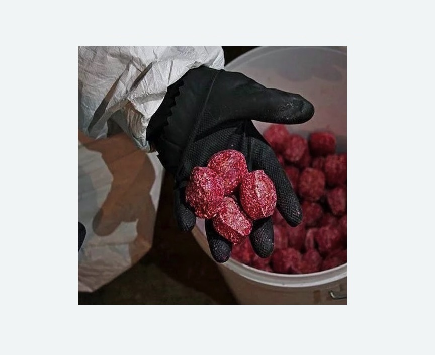 Обработка от крыс в Ярославле