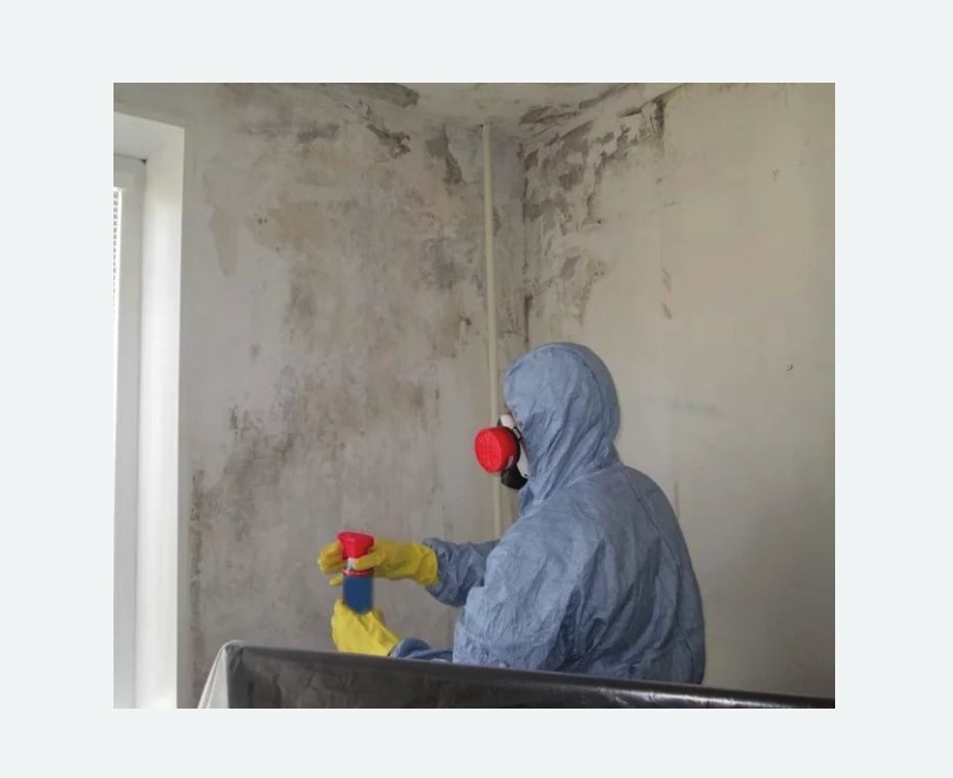 Удаление плесени в квартире в Ярославле