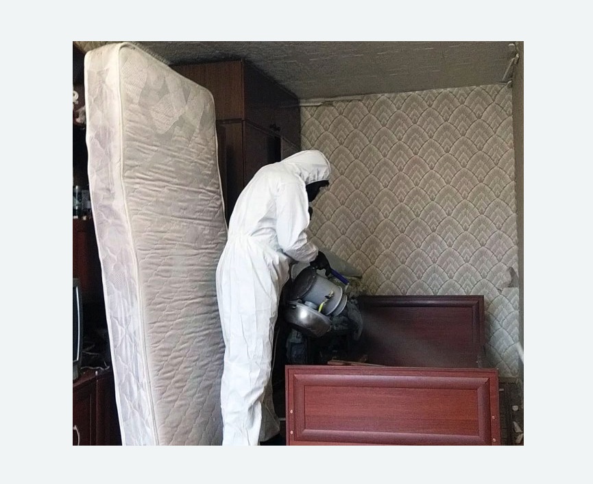 дезинфекция от клопов дезинфекция от клопов в Ярославле