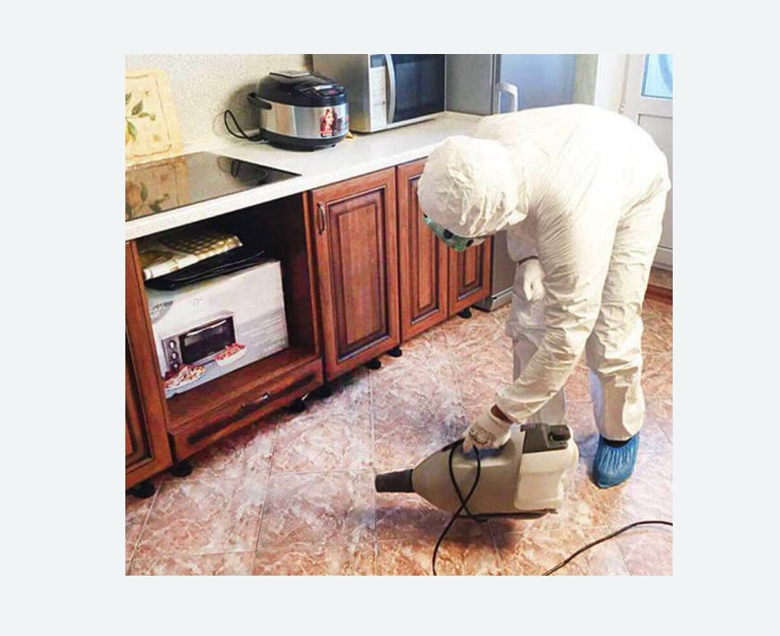 обработка квартиры от клопов в Ярославле обработка квартиры от клопов