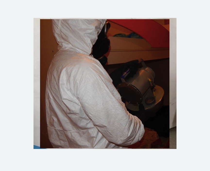 Дезинфекция от муравьев в Ярославле