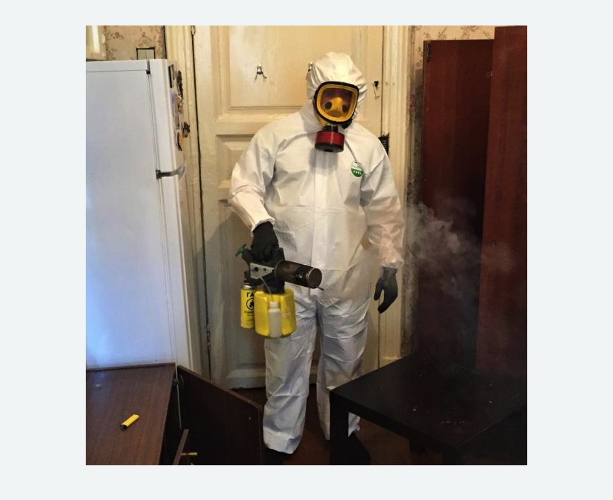 уничтожение муравьев в квартире в Ярославле